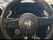 ALFA ROMEO Tonale usato, Guastalla Reggio Emilia